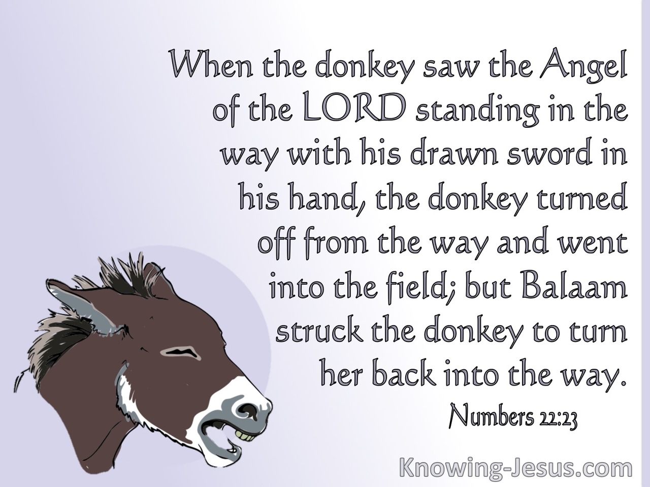 Numbers 22:23 The Donkey Saw The Angel Of The Lord (white)